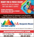 AAA PAINT FOR WEB