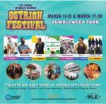 Chandler Chamber-Ostrich 0301 fpa p17