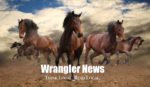 Horses