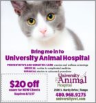 Online University Animal