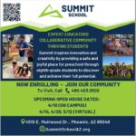 SUMMIT WEB APRIL 17