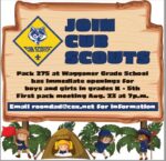 WEB CUB SCOUTS 1