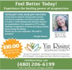 YIN RISING jul 1 qtr p27