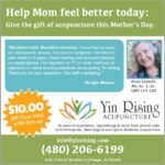 YIN WEB