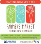 chandler market online