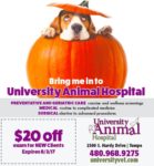 online university animal halloween