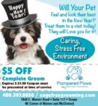 pampered paws