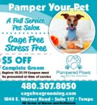 pampered pet
