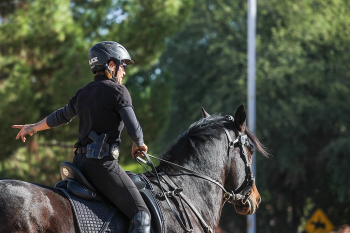 Tempe mounted police unit visited Buena Vista Ranchos, where residents offered their community arena for training. (Wrangler News Photo by Alex J. Walker)