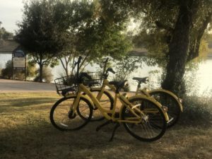 Ofo yellow bikes 